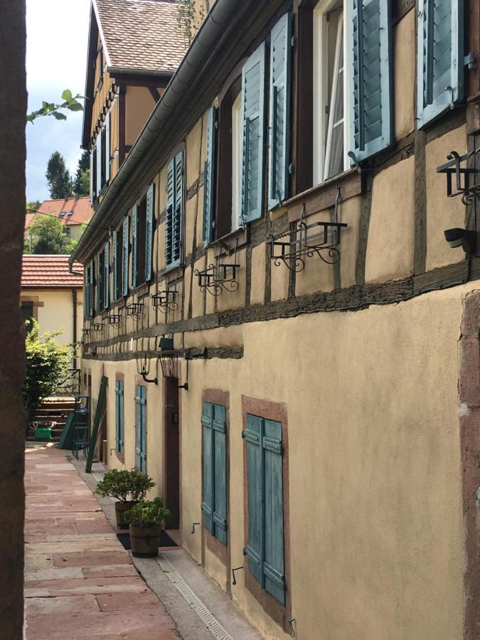 Le Gite Du Moulin Ribeauvillé Kültér fotó