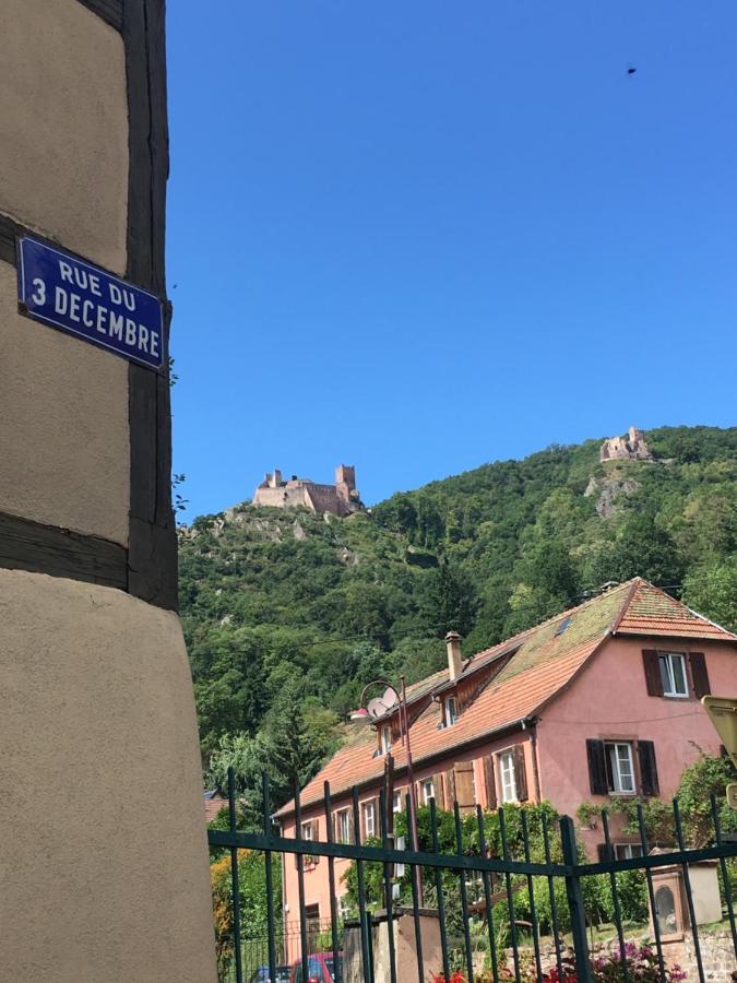 Le Gite Du Moulin Ribeauvillé Kültér fotó