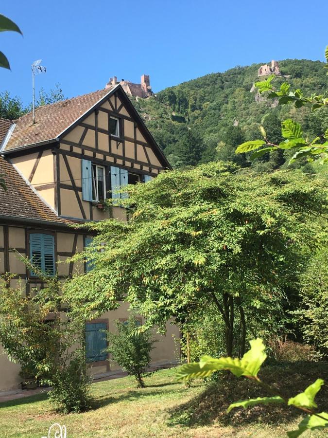 Le Gite Du Moulin Ribeauvillé Kültér fotó