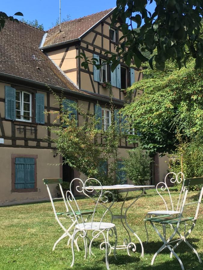 Le Gite Du Moulin Ribeauvillé Kültér fotó