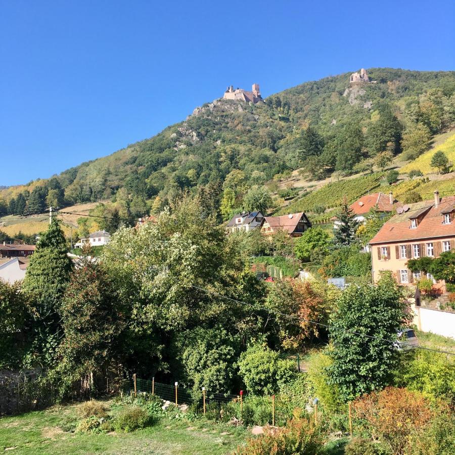 Le Gite Du Moulin Ribeauvillé Kültér fotó